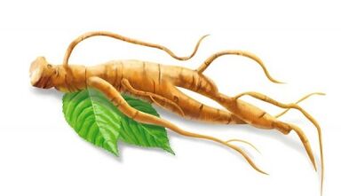 Ginseng, um die Macht nach 50 Jahren zu verbessern