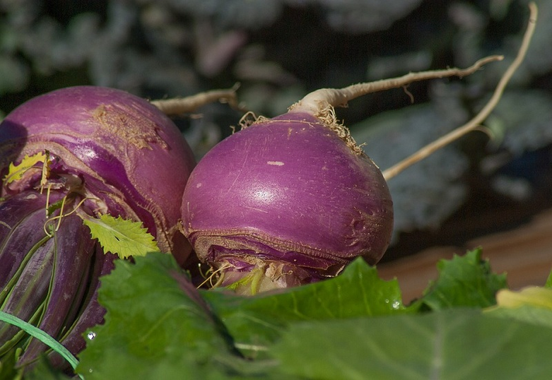 Turnip durch Macht